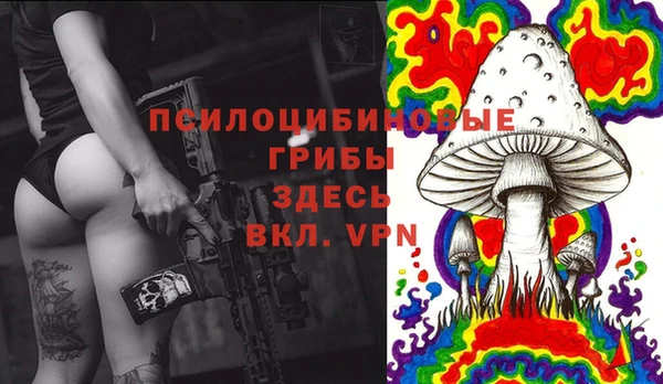 первитин Няндома