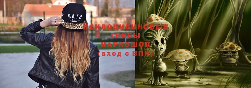 Псилоцибиновые грибы Psilocybe  мега онион  Кудрово 