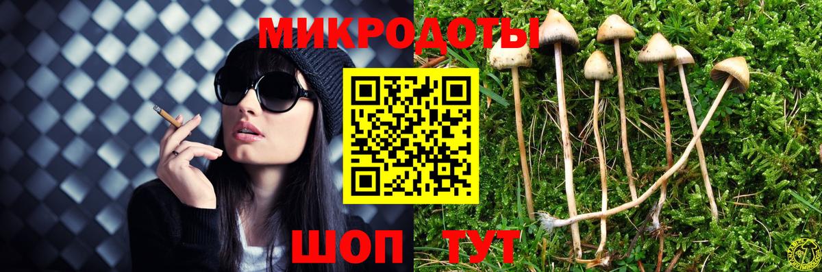 Псилоцибиновые грибы Magic Shrooms  Кудрово  Псилоцибиновые грибы Cubensis 