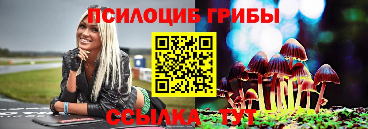 Галлюциногенные грибы мицелий  где купить наркотик  Кудрово  Вход с VPN 