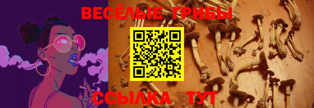 Галлюциногенные грибы Cubensis Кудрово